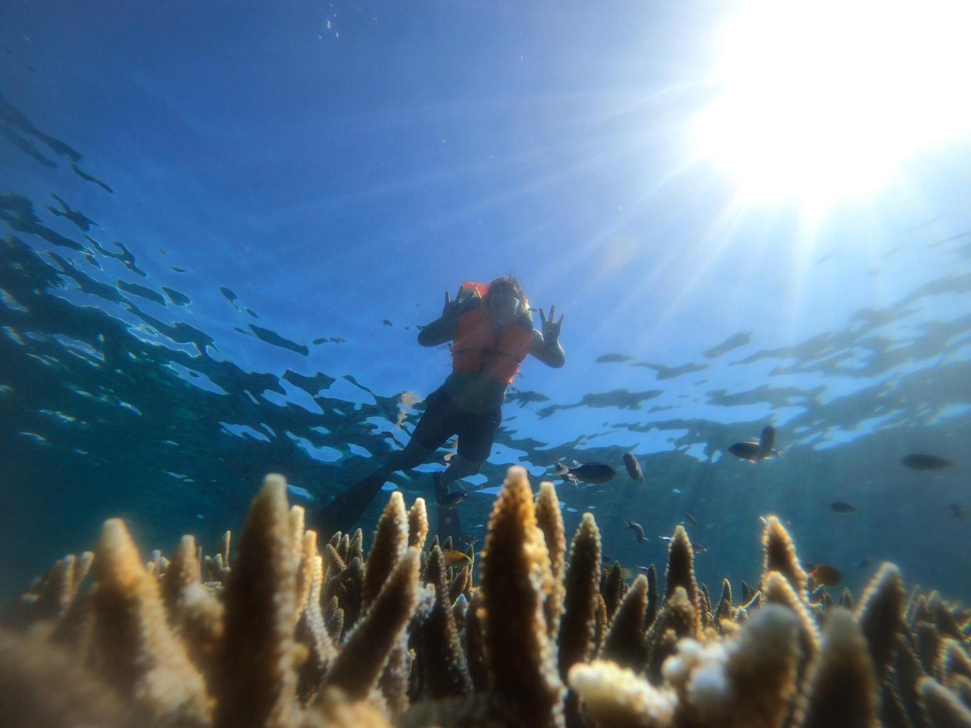 Natuna Dive Resort Ранаи Экстерьер фото